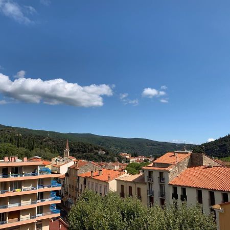 Hotel Des Bains Et Des Gorges Amélie-les-Bains-Palalda Екстериор снимка